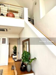 Tudor Ten (D11), Detached #496760151